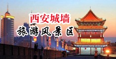 鸡吧猛插小穴免费网站中国陕西-西安城墙旅游风景区