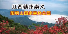 操浓黑骚B视频